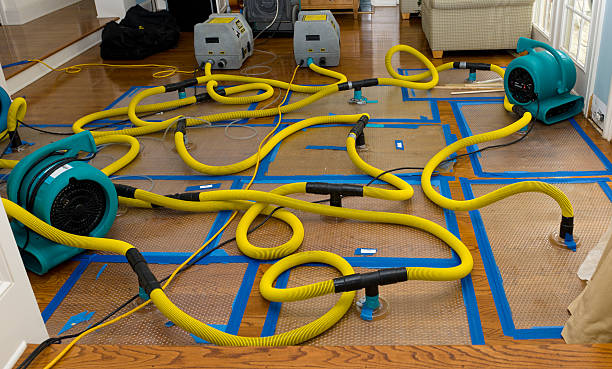 Professional Sewage Cleanup technician working in Andreas, PA